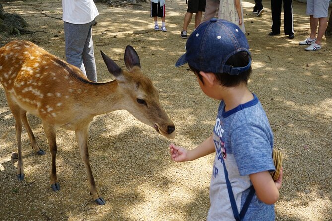 From Kyoto: Nara History Guided Half Day Bus Tour with Lunch - Guides who make the tight schedule work