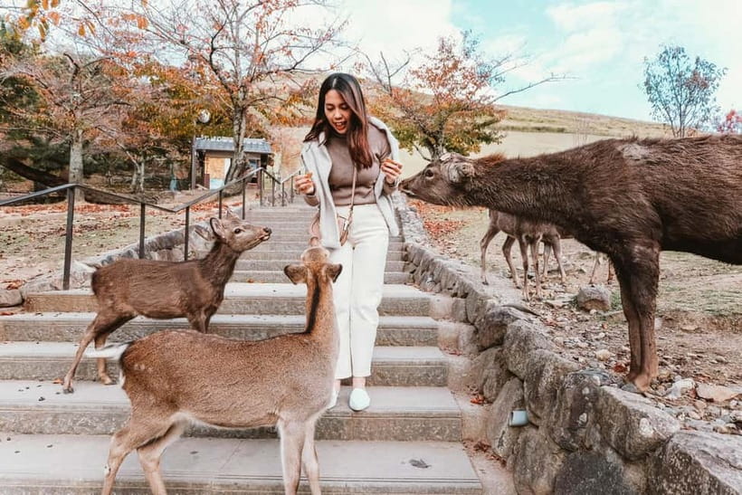 From Kyoto: Nara, Osaka & Kobe Day Trip – 3 Cities in 1 Day - Who should book this day trip?