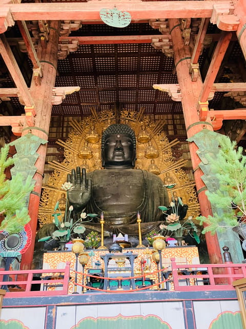 From Kyoto: Nara Private Tour with Hotel Pickup - Who will enjoy this six-hour Nara visit?