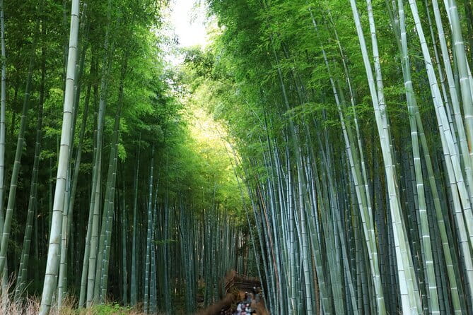 From Kyoto / Osaka: Kyoto Must-see Spots & Nara Park One Day Tour - Nara Park and the deer