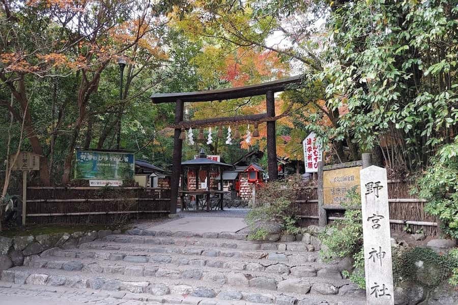 From Kyoto/Osaka/Nara: Private Osaka Luxury Car Tour - The aquarium and custom planning
