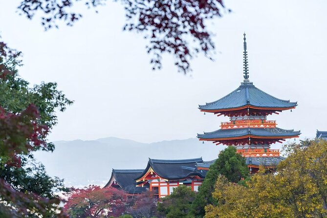 From Osaka: 10-hour Private Customizable Tour to Kyoto - Hanamikoji Street: Gion’s traditional side