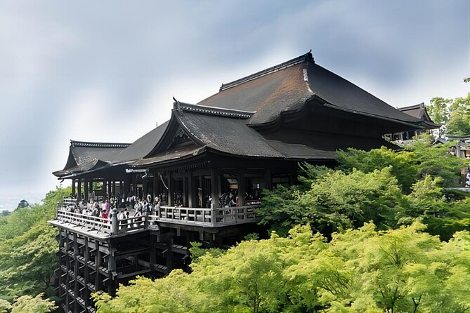 From Osaka: 10-hour Private Customizable Tour to Kyoto - The guide question matters more than it first appears