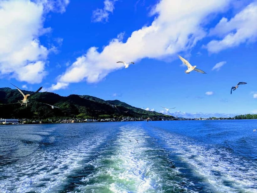 From Osaka/Kyoto: Amanohashidate Day Tour with Meal - Who will enjoy this tour most