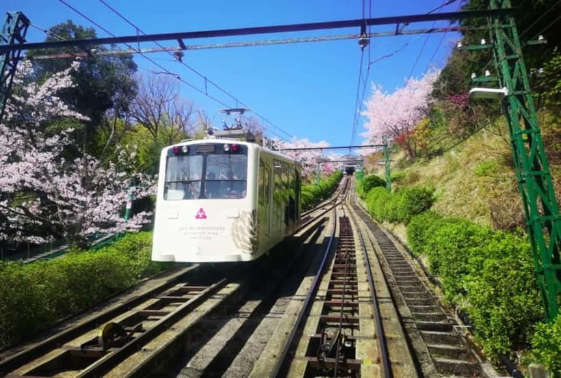From Osaka/Kyoto: Amanohashidate Day Tour with Meal - Miyama Kayabuki no Sato and Japan’s rural past