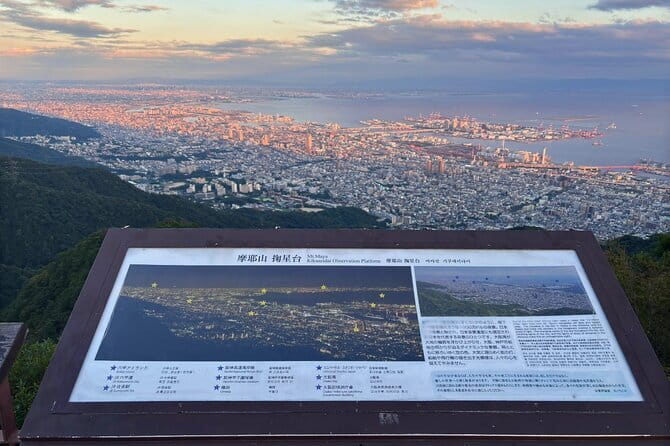 From Osaka/Kyoto: Amanohashidate & Miyama 1-Day Bus Tour w/ Meal - Guides, language, and the shared bus