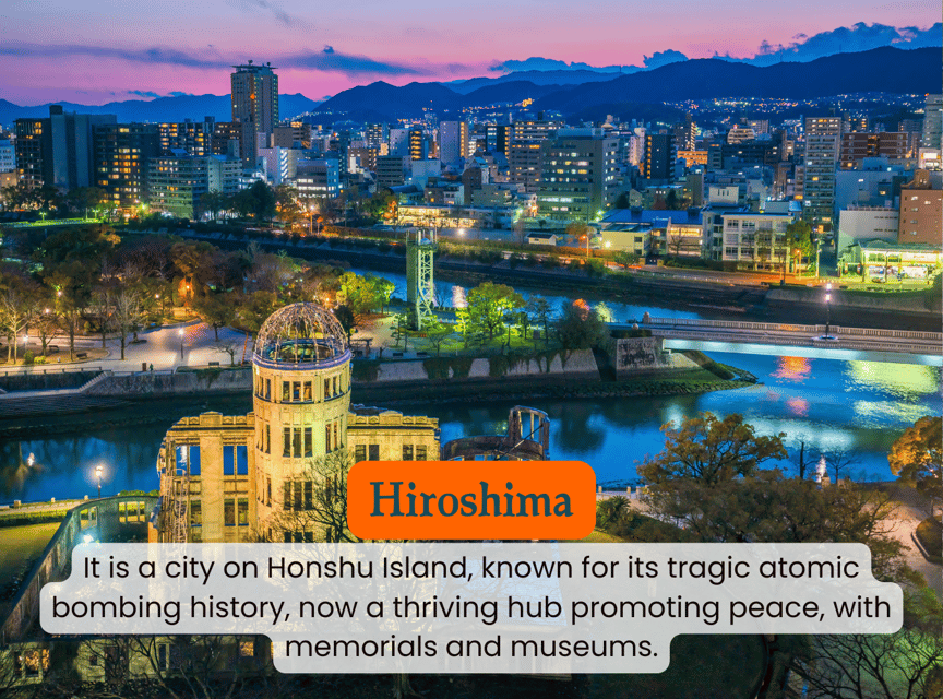 From Osaka/Kyoto: Hiroshima and Miyajima Private Tour - What the reviews tell me about the service