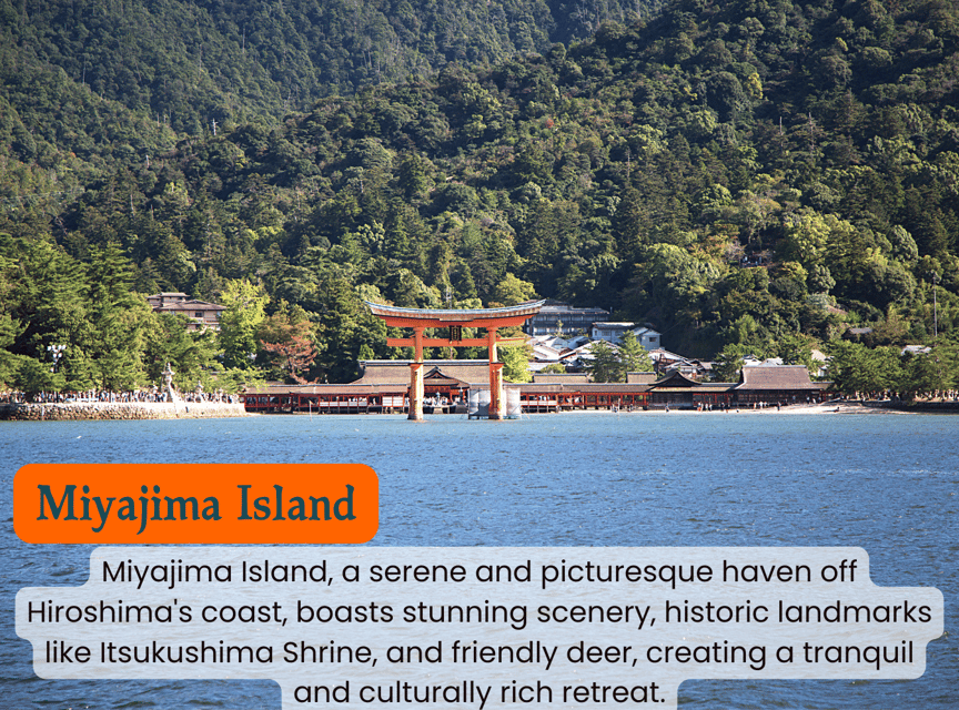 From Osaka/Kyoto: Hiroshima and Miyajima Private Tour - Is $792 a fair price?