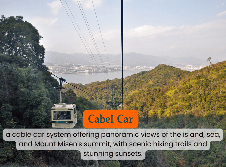 From Osaka/Kyoto: Hiroshima and Miyajima Private Tour - What to budget and bring