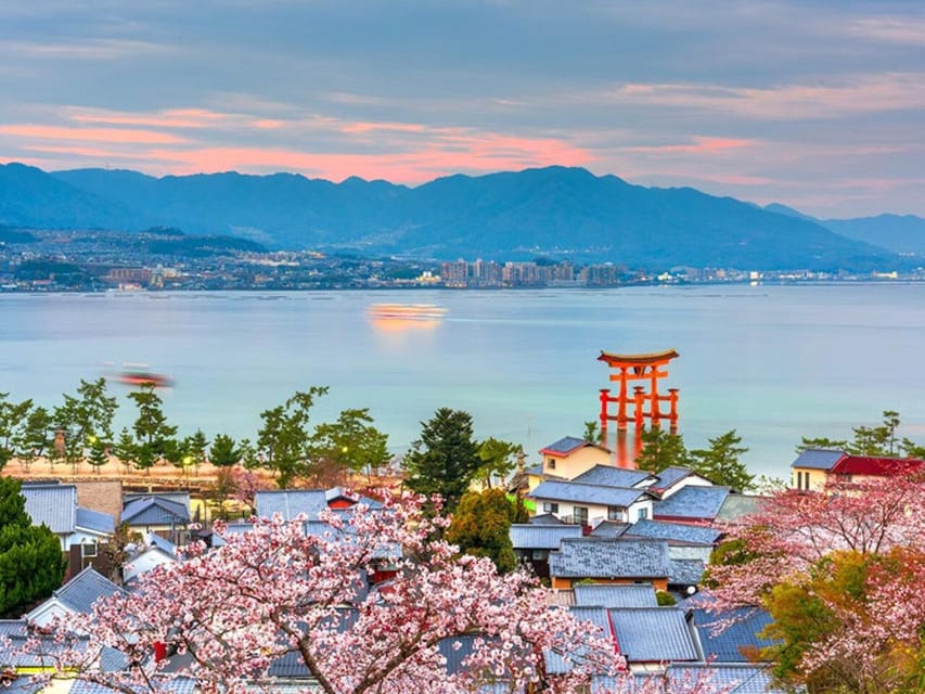 From Osaka/Kyoto: Hiroshima & Miyajima Private Guided Tour - What the private format is really worth