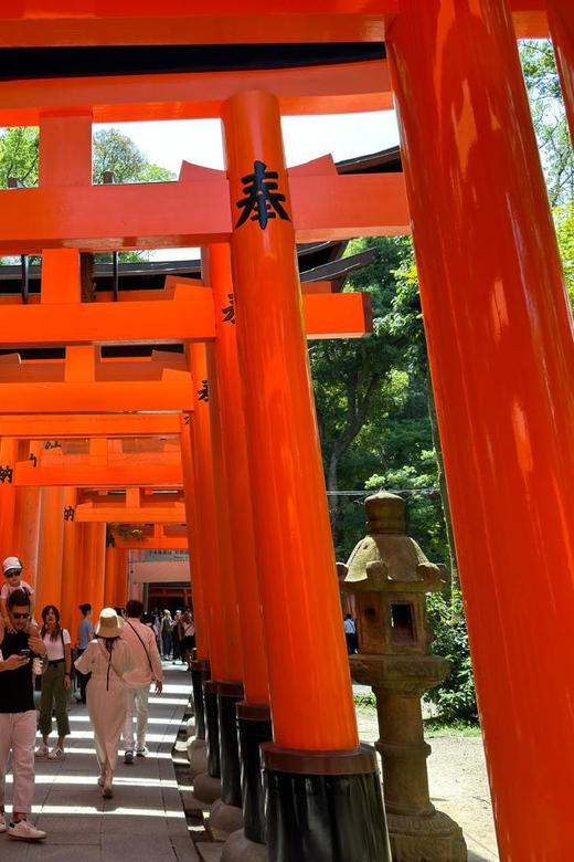 From Osaka/Kyoto: Kyoto, Nara, and Fushimi Inari Day Trip - Is $516 a fair price?