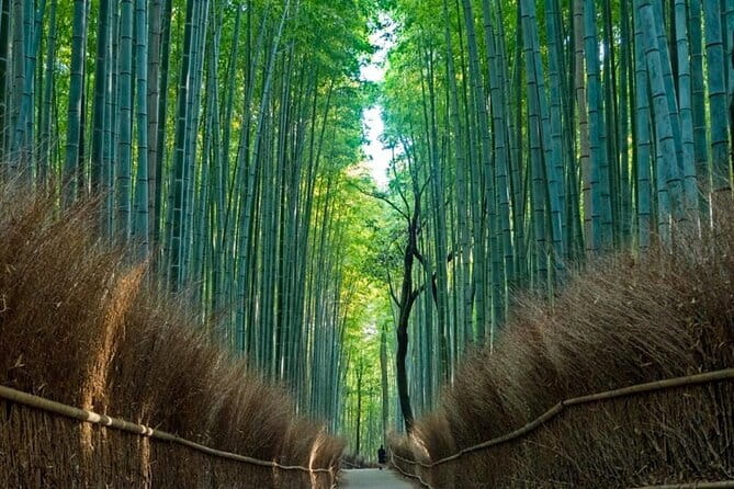 From Osaka/Kyoto: Kyoto & Nara Day Trip with Optional Lunch - Key points to know before booking