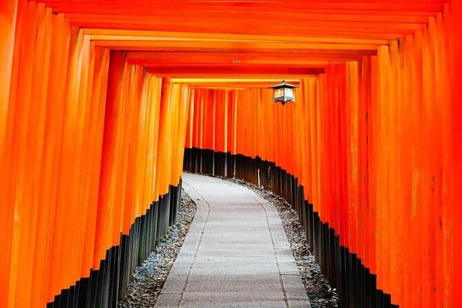 From Osaka/Kyoto: Kyoto & Nara Day Trip with Optional Lunch - What this Kyoto and Nara day trip actually does