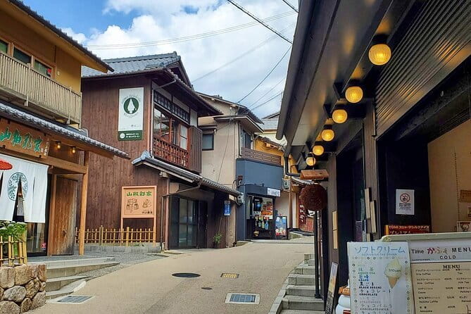 From Osaka/Kyoto: Kyoto & Nara Day Trip with Optional Lunch - Heat, luggage, and what to bring