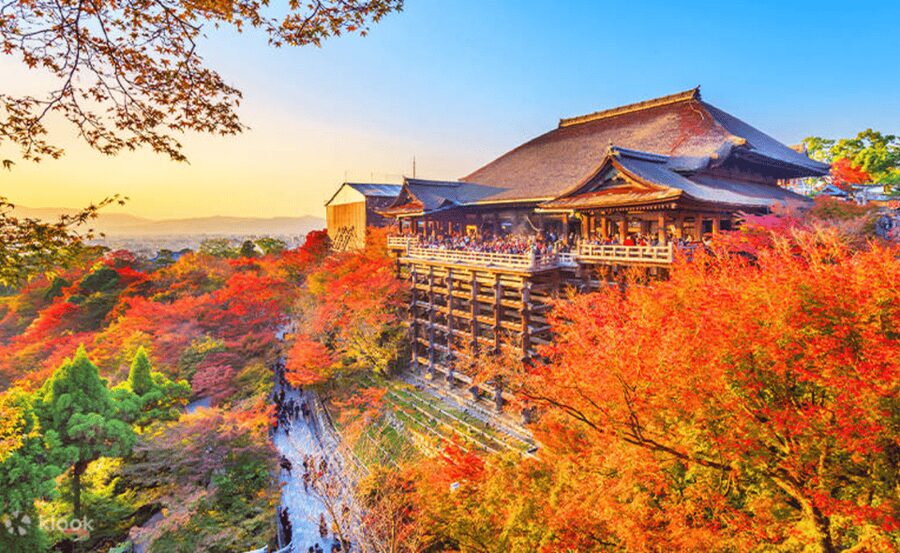 From Osaka/Kyoto: Kyoto & Nara Private Day Trip - Kinkaku-ji, the Golden Pavilion by the pond