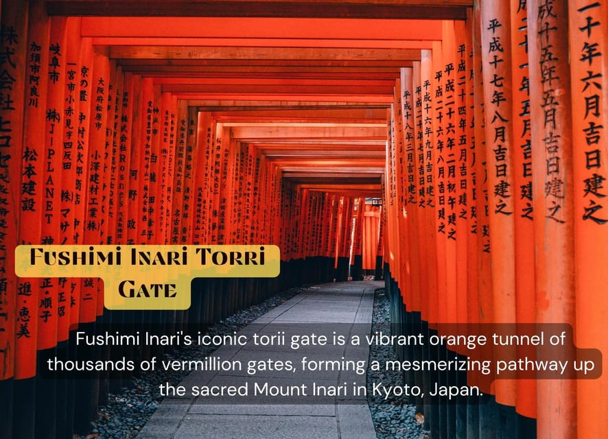 From Osaka/Kyoto: Kyoto & Nara Private Day Trip - Nara Park, deer, and the etiquette of feeding