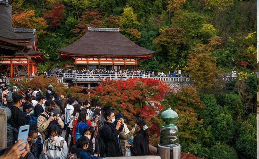 From Osaka/Kyoto: Kyoto & Nara Private Day Trip - Tōdai-ji and the Great Buddha Hall