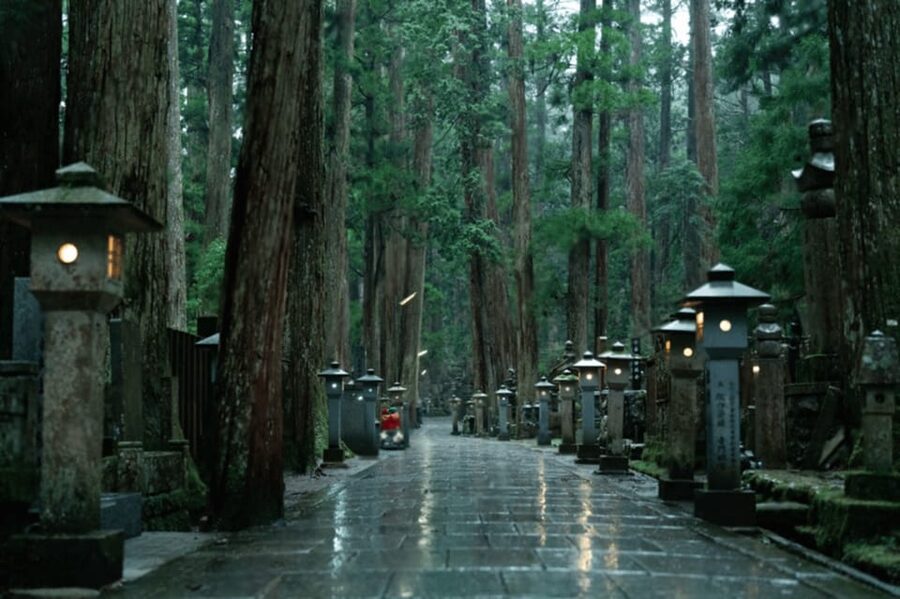 From Osaka/Kyoto:Mount Koya, Wakayama & Nachi Waterfall Trip - A long day linking Wakayama’s best sights