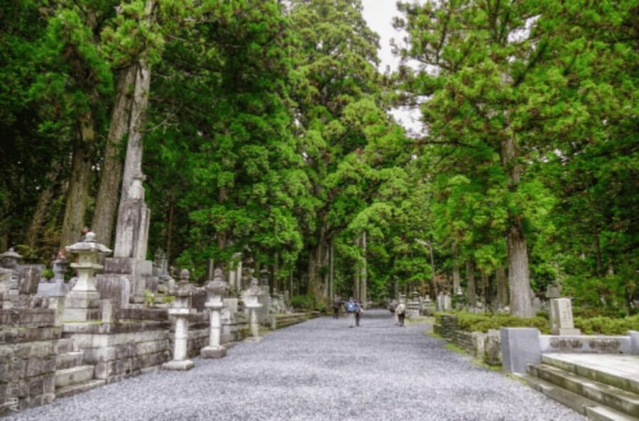 From Osaka/Kyoto:Mount Koya, Wakayama & Nachi Waterfall Trip - Kongobuji Temple and the world of Shingon Buddhism