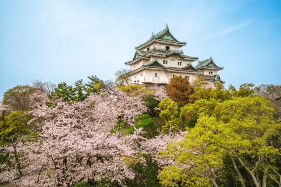 From Osaka/Kyoto:Mount Koya, Wakayama & Nachi Waterfall Trip - Walking through Okunoin Cemetery