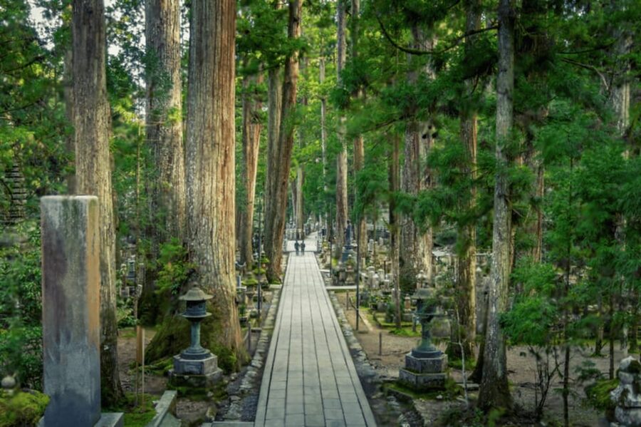 From Osaka/Kyoto:Mount Koya, Wakayama & Nachi Waterfall Trip - Ending at Nachi Waterfall and Nachi Taisha Shrine