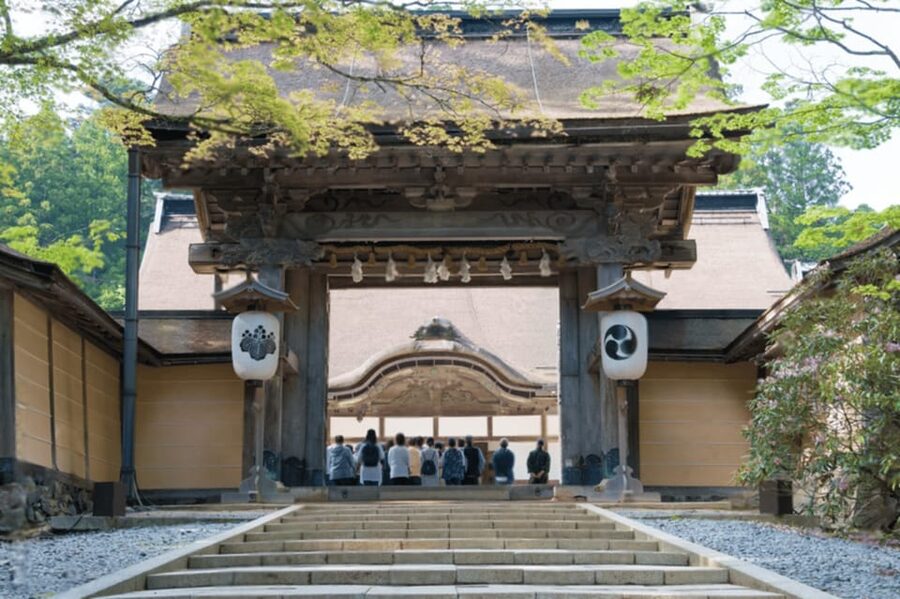 From Osaka/Kyoto:Mount Koya, Wakayama & Nachi Waterfall Trip - Is $910 good value for six people?