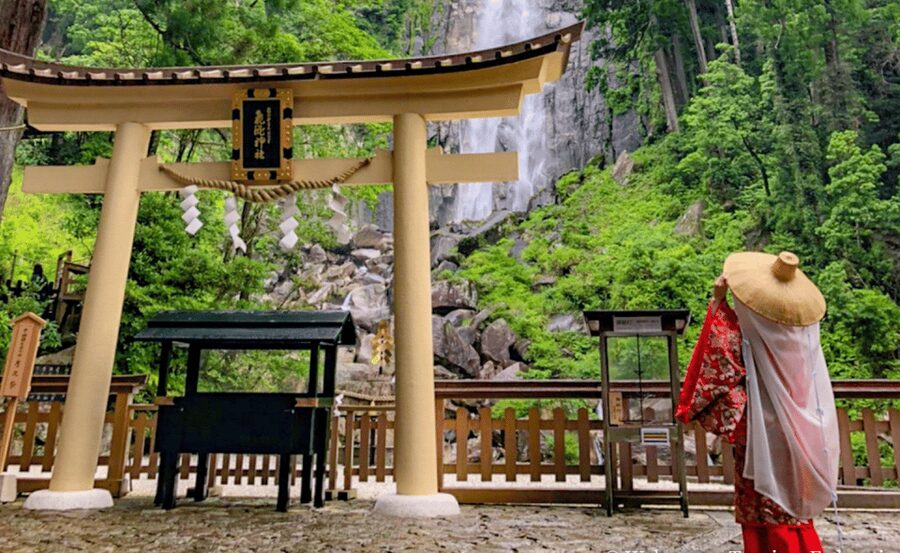 From Osaka/Kyoto: Mount Koya & Wakayama Private Day Trip . - Key points to know before booking