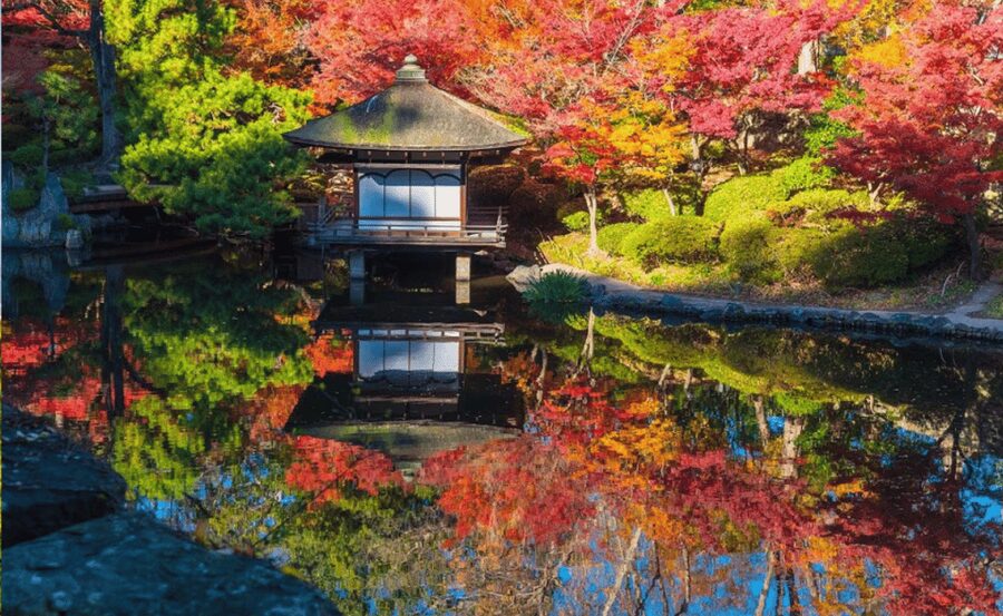 From Osaka/Kyoto: Mount Koya & Wakayama Private Day Trip . - What $660 buys you, and what it does not