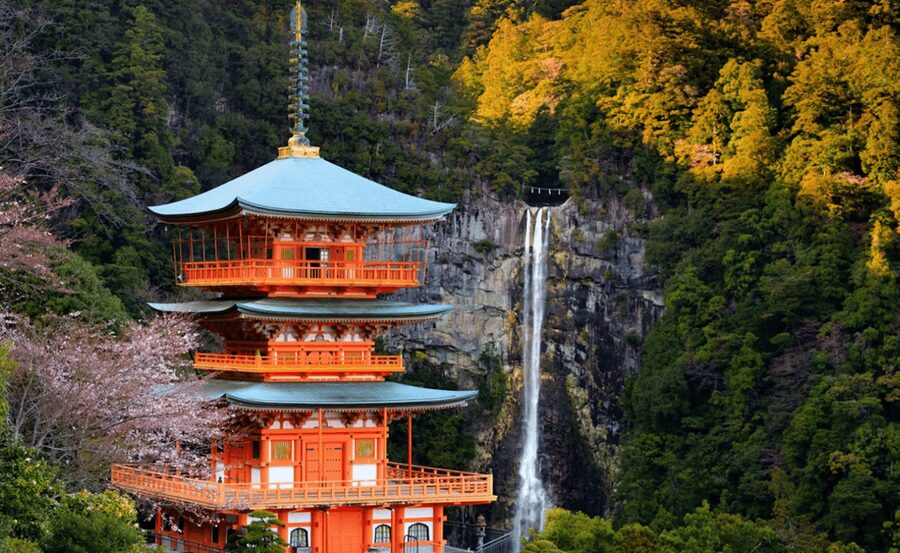 From Osaka/Kyoto: Mount Koya & Wakayama Private Day Trip . - Wakayama Castle makes a strong opening stop