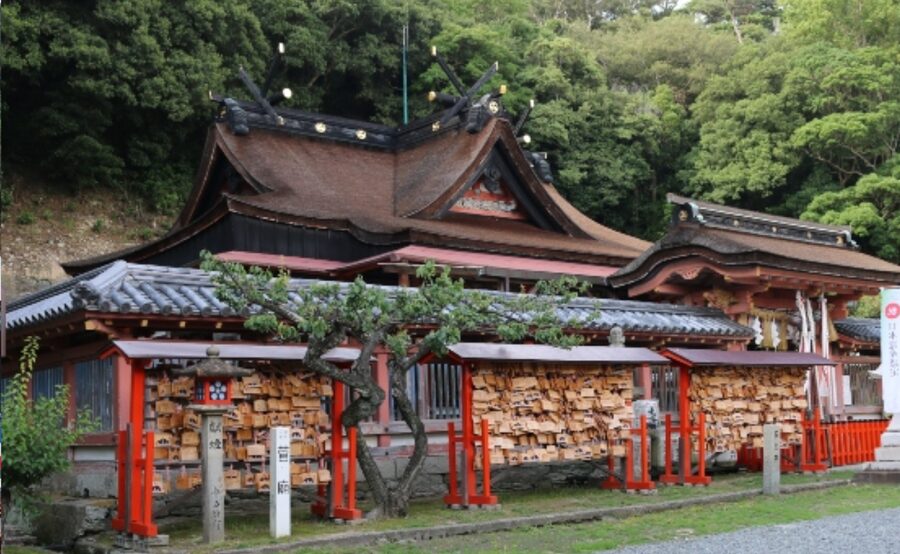 From Osaka/Kyoto: Mount Koya & Wakayama Private Day Trip . - Kongobuji Temple and the art of stillness
