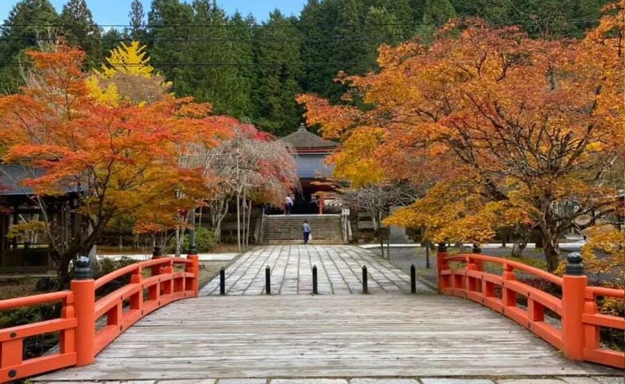 From Osaka/Kyoto: Mount Koya & Wakayama Private Day Trip . - Okuno-in is the stop to protect