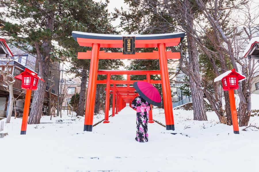 From Osaka: Kyoto & Nara Highlights Day Tour (7 attractions) - Key points to know before booking
