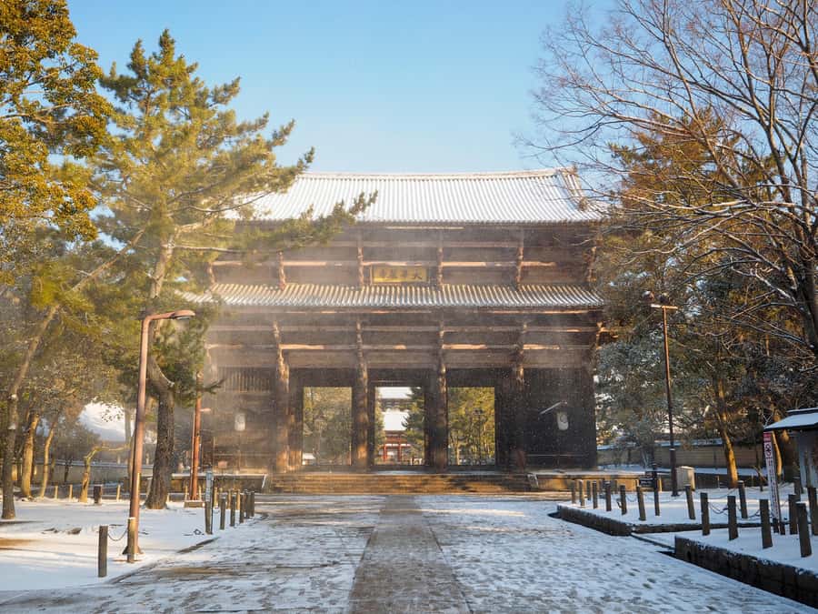 From Osaka: Kyoto & Nara Highlights Day Tour (7 attractions) - Byodoin Temple and the Uji tea street