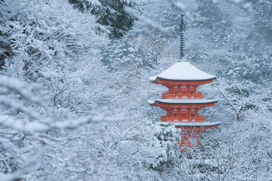 From Osaka: Kyoto & Nara Highlights Day Tour (7 attractions) - Fushimi Inari’s vermilion gates