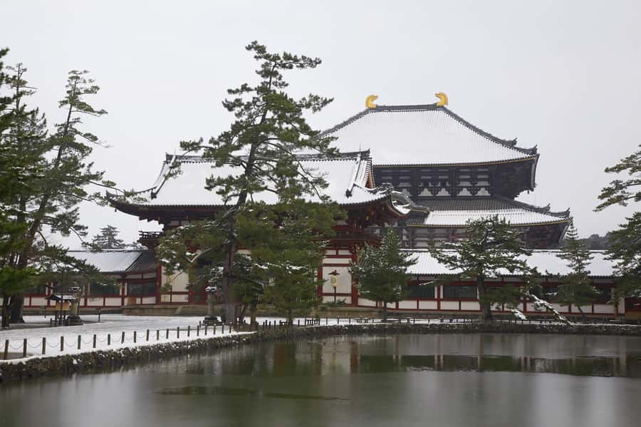 From Osaka: Kyoto & Nara Highlights Day Tour (7 attractions) - What $53 really covers