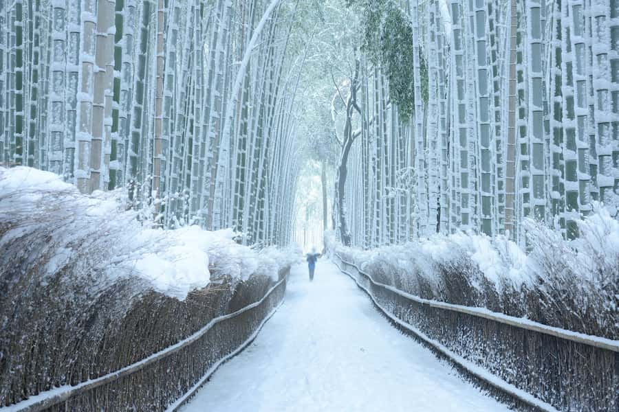 From Osaka: Kyoto & Nara Highlights Day Tour (7 attractions) - The pace, walking, and practical limits