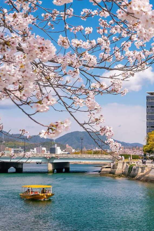 From Osaka/Kyoto/Nara: Hiroshima and Miyajima Private Tour - The long-day question: comfort versus depth