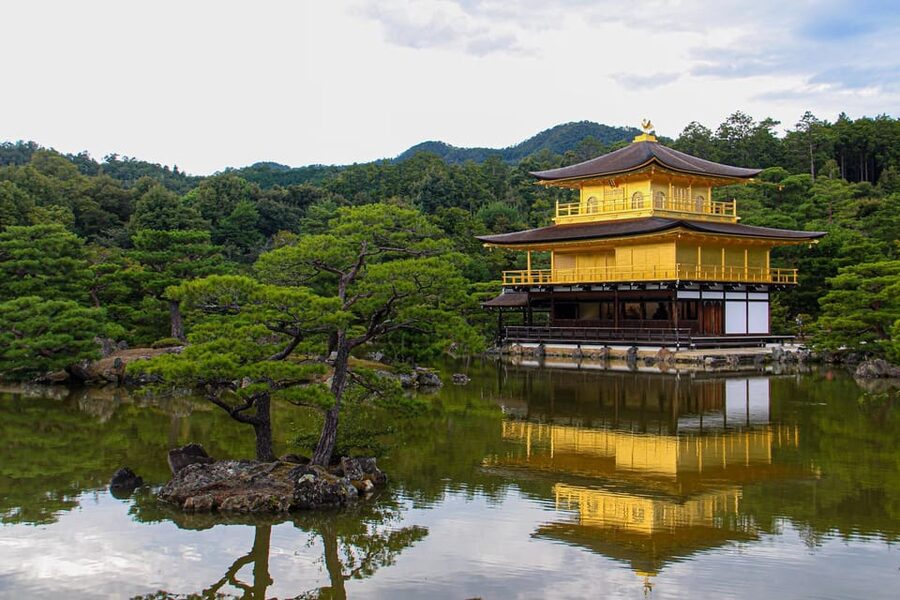 From Osaka/Kyoto: Private Kyoto and Nara Day Trip - Arashiyama Bamboo Forest In A Short Visit