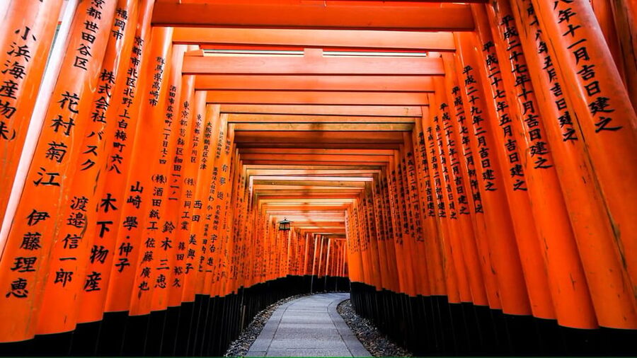 From Osaka/Kyoto: Private Kyoto and Nara Day Trip - The Pace, Walking, And Transport