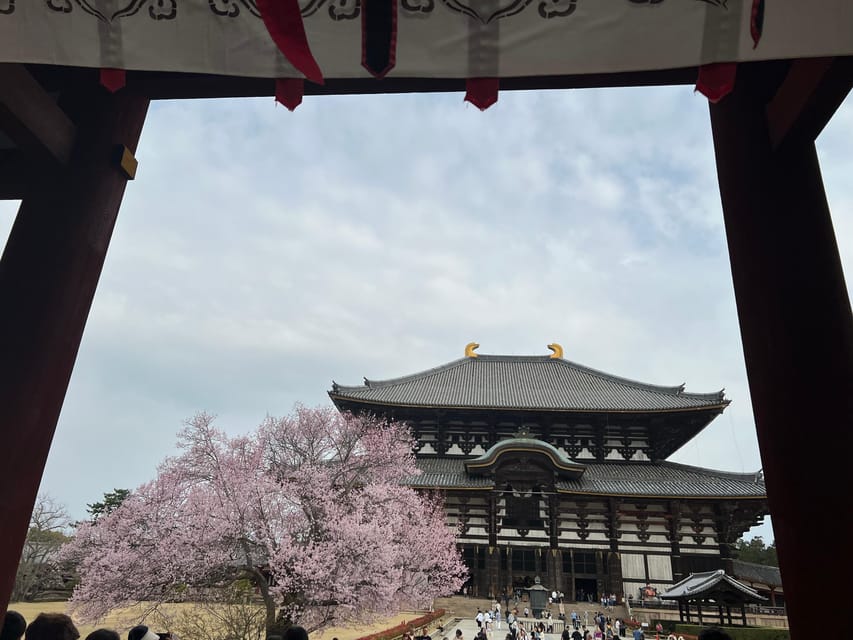 From Osaka/Kyoto:Private Kyoto-Nara Day Tour - Is $597 a fair price for two?