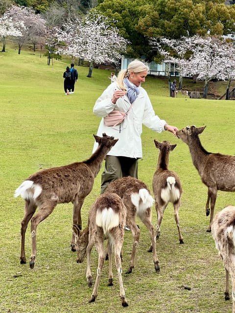 From Osaka/Kyoto:Private Kyoto-Nara Day Tour - Lunch and a taste of Kyoto cooking