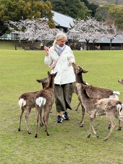 From Osaka/Kyoto:Private Kyoto-Nara Day Tour - Walking beneath Fushimi Inari’s torii gates
