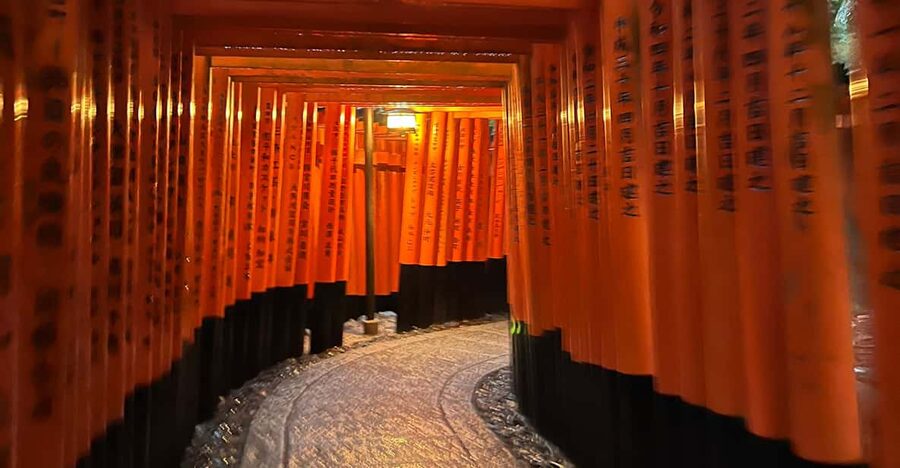 From Osaka/Kyoto:Private Kyoto-Nara Day Tour - Todai-ji and the Great Buddha