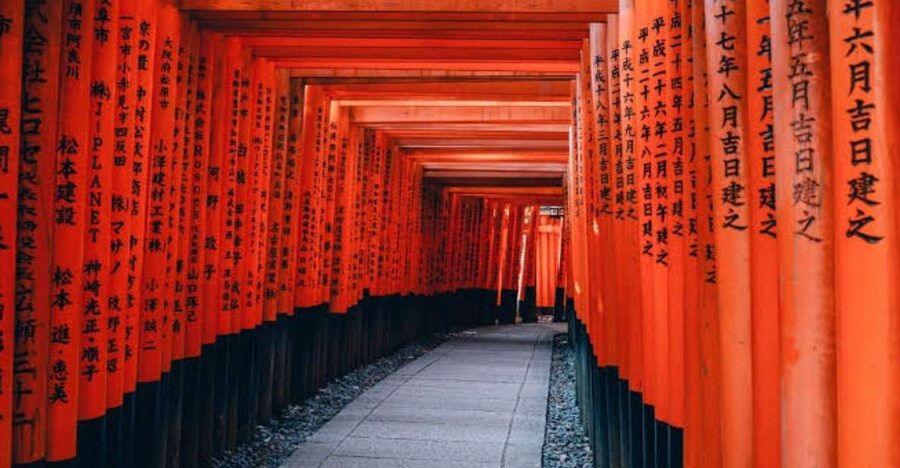 From Osaka/Kyoto: Private Kyoto & Nara Day Trip with Pickup - The best parts of the day at a glance