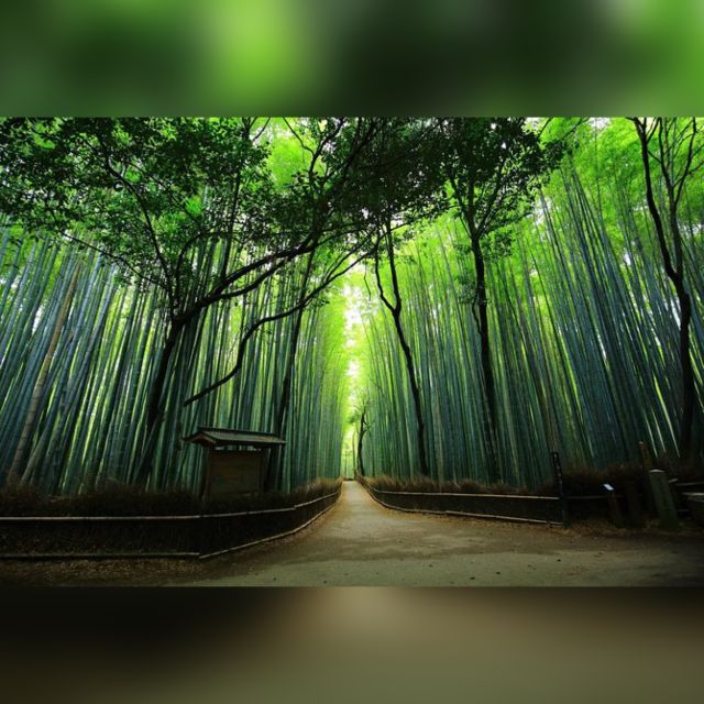From Osaka/Kyoto: Private Kyoto & Nara Day Trip with Pickup - Todaiji’s Great Buddha Hall