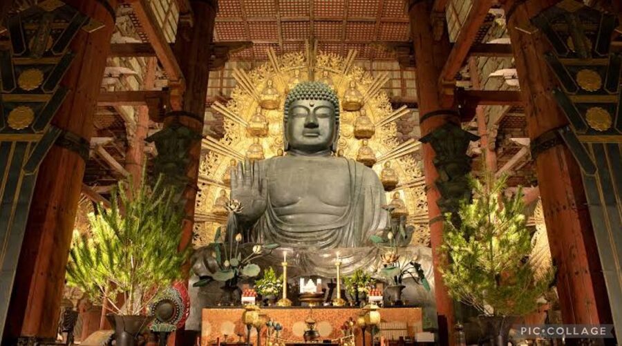 From Osaka/Kyoto: Private Kyoto & Nara Day Trip with Pickup - What is and is not included
