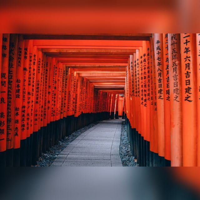 From Osaka/Kyoto: Private Kyoto & Nara Day Trip with Pickup - Nara Park and the bowing deer