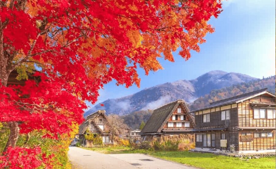 From Osaka/Kyoto: Shirakawa-go, TakaYama & Kanazawa Day Trip - A long road to Japan’s mountain country