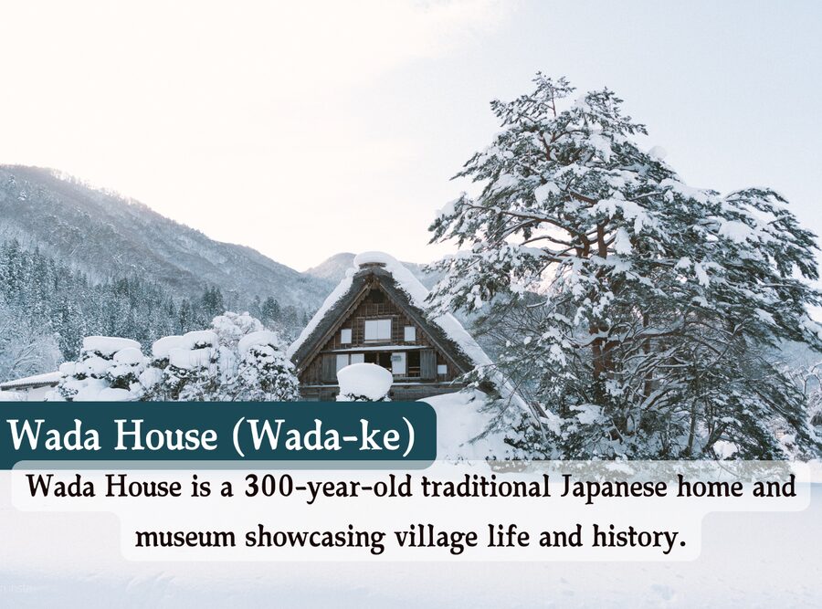 From Osaka/Kyoto: Shirakawa-go, TakaYama & Kanazawa Day Trip - What the mixed ratings mean for your decision