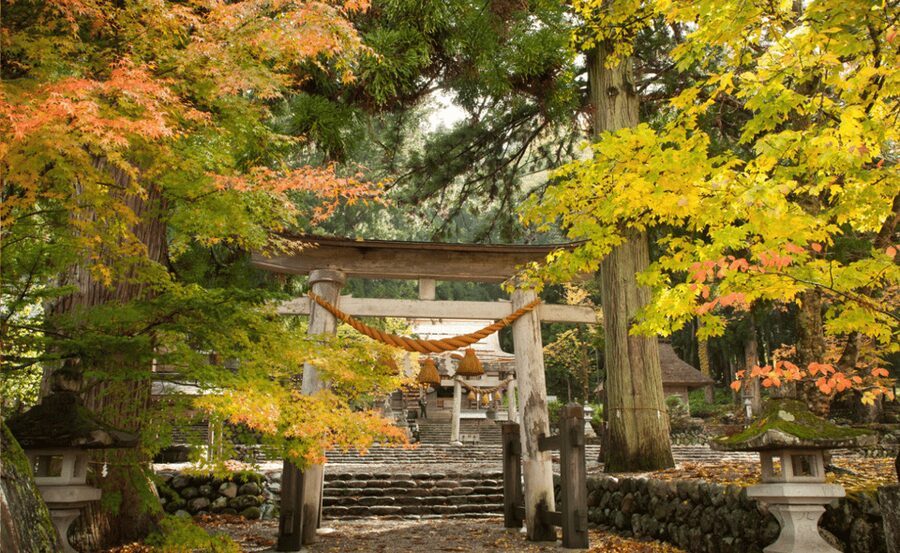 From Osaka/Kyoto: Shirakawa-go, TakaYama & Kanazawa Day Trip - Who should book this day trip?